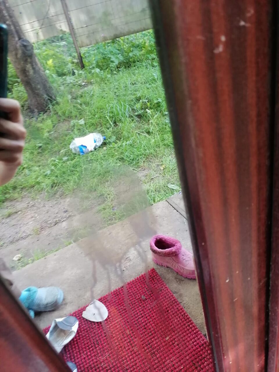 Urmele lăsate de urs la locuința Feliciei Forfotă