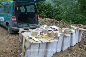Aproape 12.000 de pachete de țigări de contrabandă, ascunse în pădure