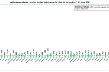 Incidența cazurilor