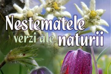 Expoziția temporară „Nestematele verzi ale naturii”, la Muzeul de Științele Naturii Suceava