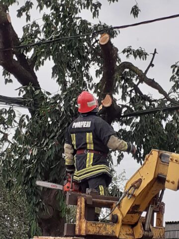 Pompierii au intervenit pentru a îndepărta ramurile unui cireș care stăteau pe firele de alimentare cu energie electrică
