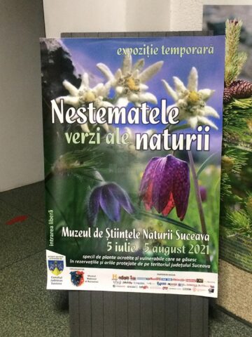 La Muzeul de Științele Naturii Suceava a fost deschisă luni expoziția „Nestematele verzi ale naturii”, fotografie și plante vii