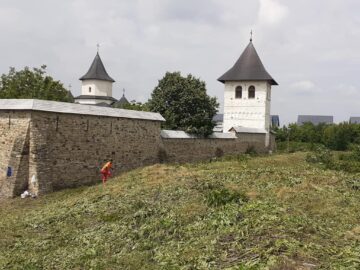 Mănăstirea Zamca, monument istoric ascuns de buruieni și nepăsare, scos la lumină după patru zile de muncă a unor voluntari