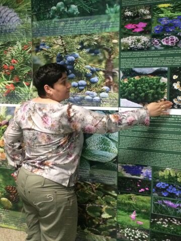 La Muzeul de Științele Naturii Suceava a fost deschisă luni expoziția „Nestematele verzi ale naturii”, fotografie și plante vii