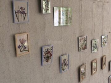La Muzeul de Științele Naturii Suceava a fost deschisă luni expoziția „Nestematele verzi ale naturii”, fotografie și plante vii