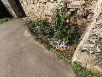 Mănăstirea Zamca, monument istoric ascuns de buruieni și nepăsare, scos la lumină după patru zile de muncă a unor voluntari