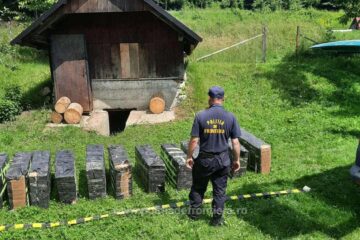 Coletele cu țigări de contrabandă descoperite în pivniță unei case din Straja