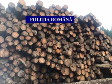 Amplă acțiune pe linie silvică