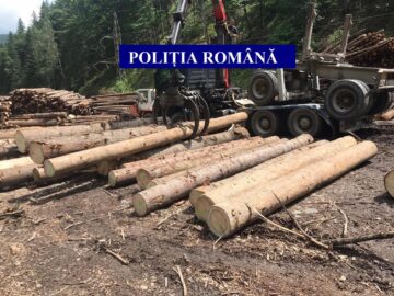 Amplă acțiune pe linie silvică