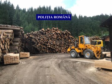 Amplă acțiune pe linie silvică