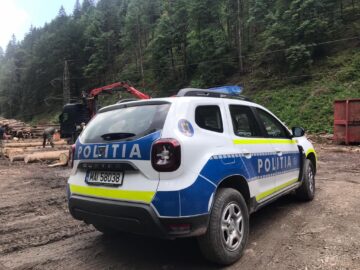 Amplă acțiune pe linie silvică
