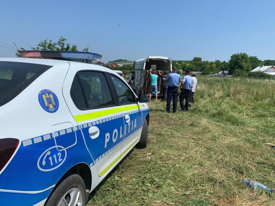 Hoții de fier vechi au abandonat trei cai pe un câmp din Suceava