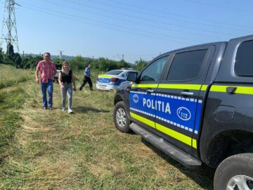 Hoții de fier vechi au abandonat trei cai pe un câmp din Suceava