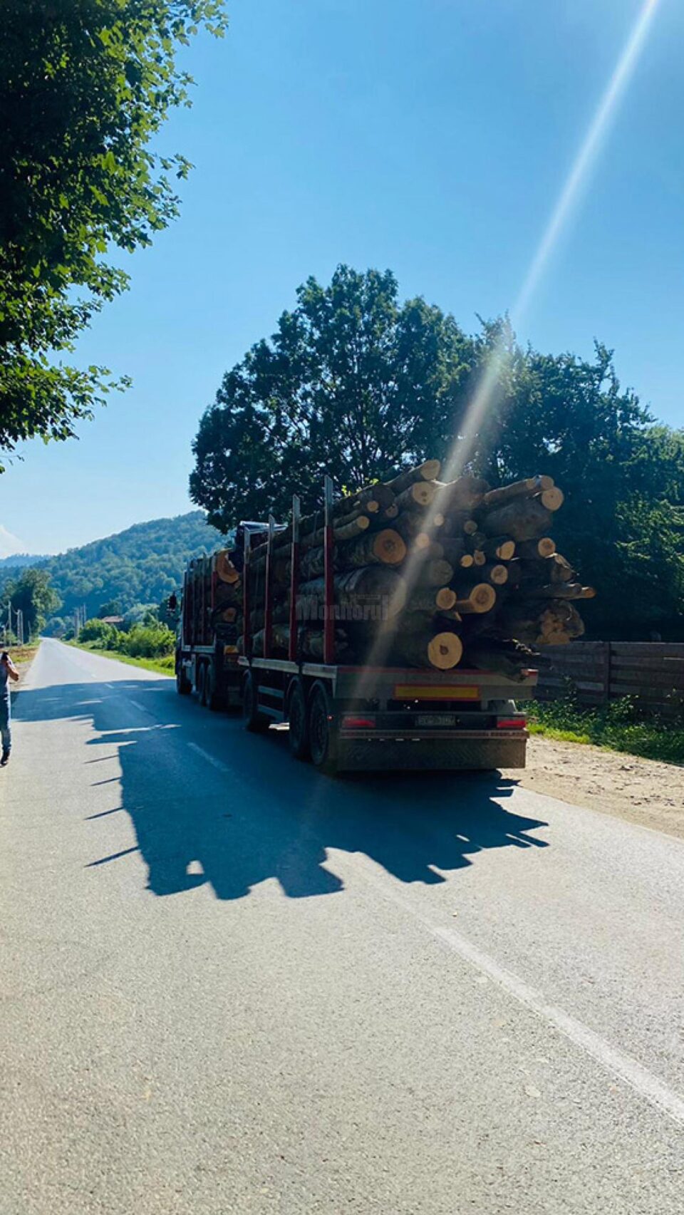 Vehiculul greu cu lemne care depășeau lungimea maximă admisă