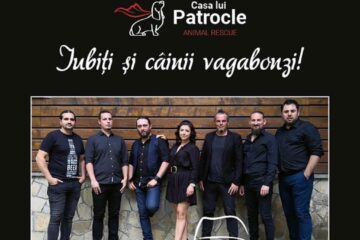 Iubiți și câinii vagabonzi!