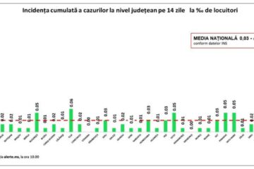 Incidența cazurilor la 14 zile