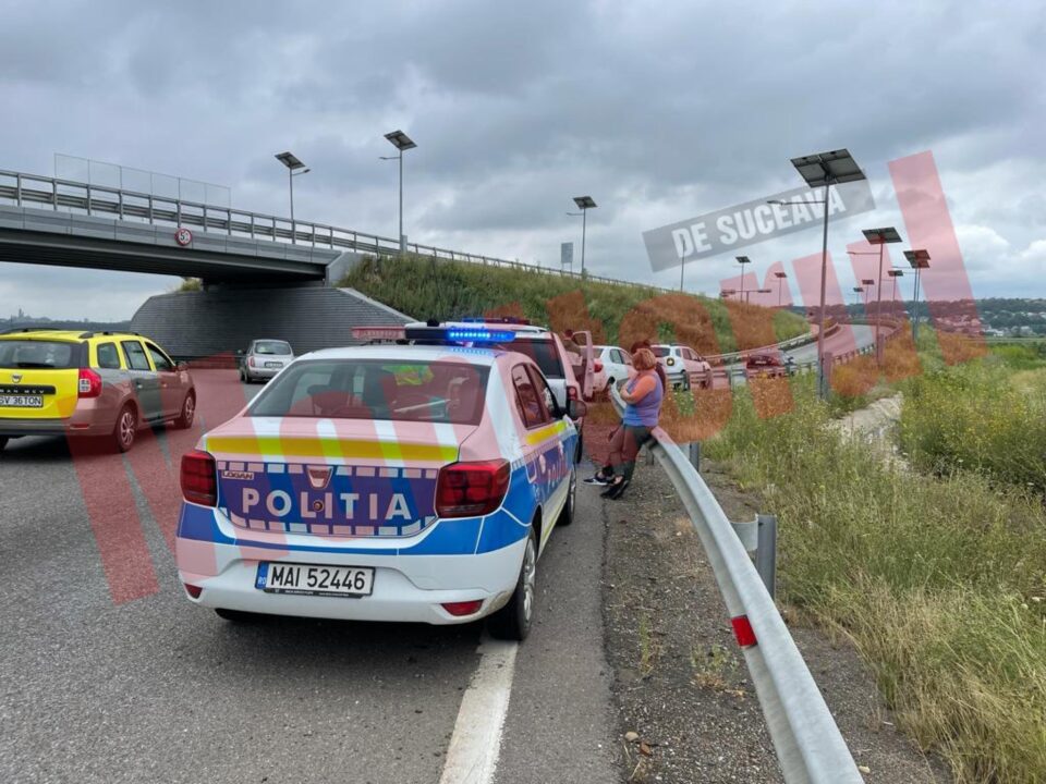 Un mistreț tranșat, găsit în mașina a două femei oprite la „Zidul Morții”