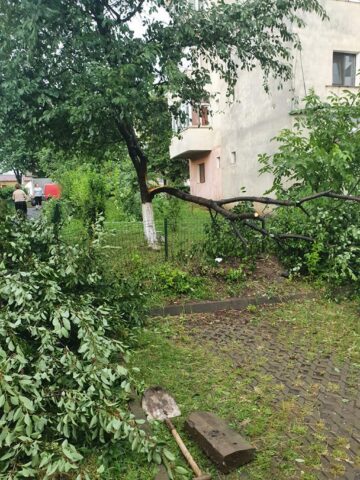 Copaci doborâți de furtună la Fălticeni