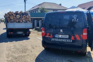 Prins în timp ce transporta lemn fără acte, cu permisul suspendat