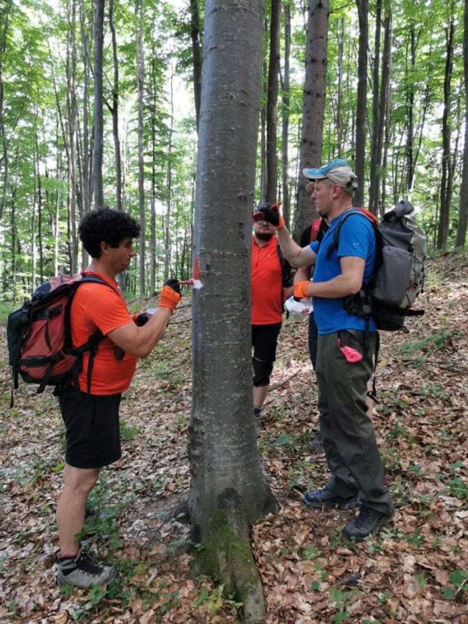 Operațiunea de marcare a noilor trasee turistice de la Cacica