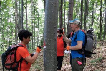 Operațiunea de marcare a noilor trasee turistice de la Cacica