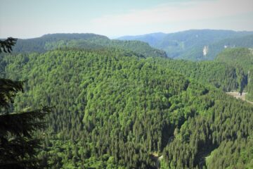 Măsuri suplimentare pentru prevenirea și stingerea incendiilor în fondul forestier administrat de Romsilva