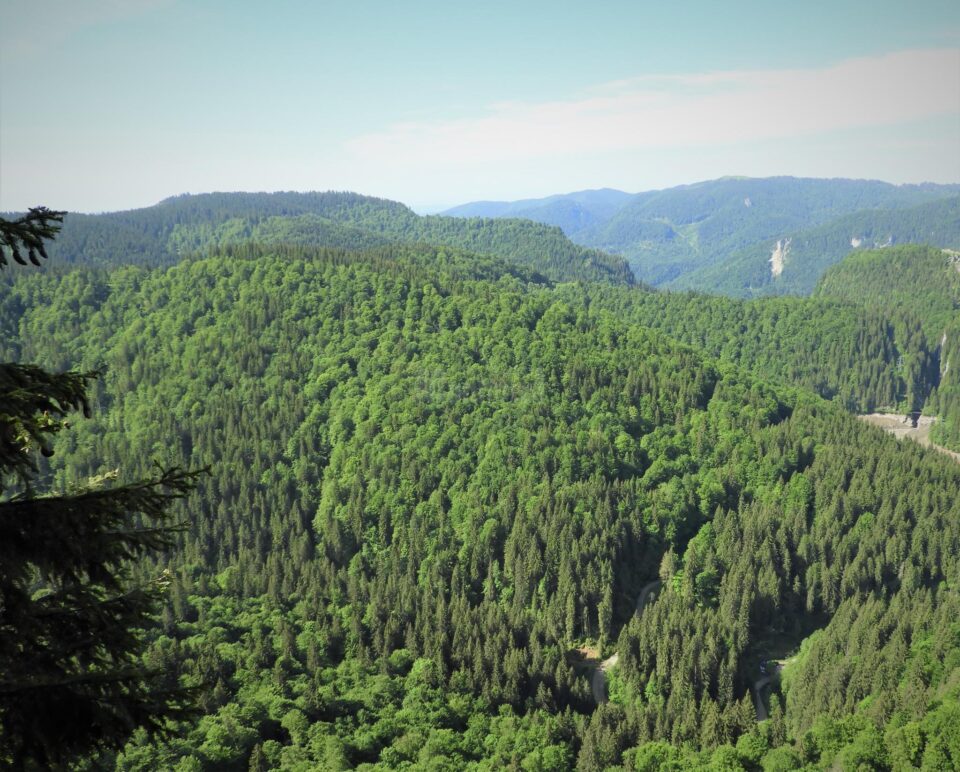 Măsuri suplimentare pentru prevenirea și stingerea incendiilor în fondul forestier administrat de Romsilva