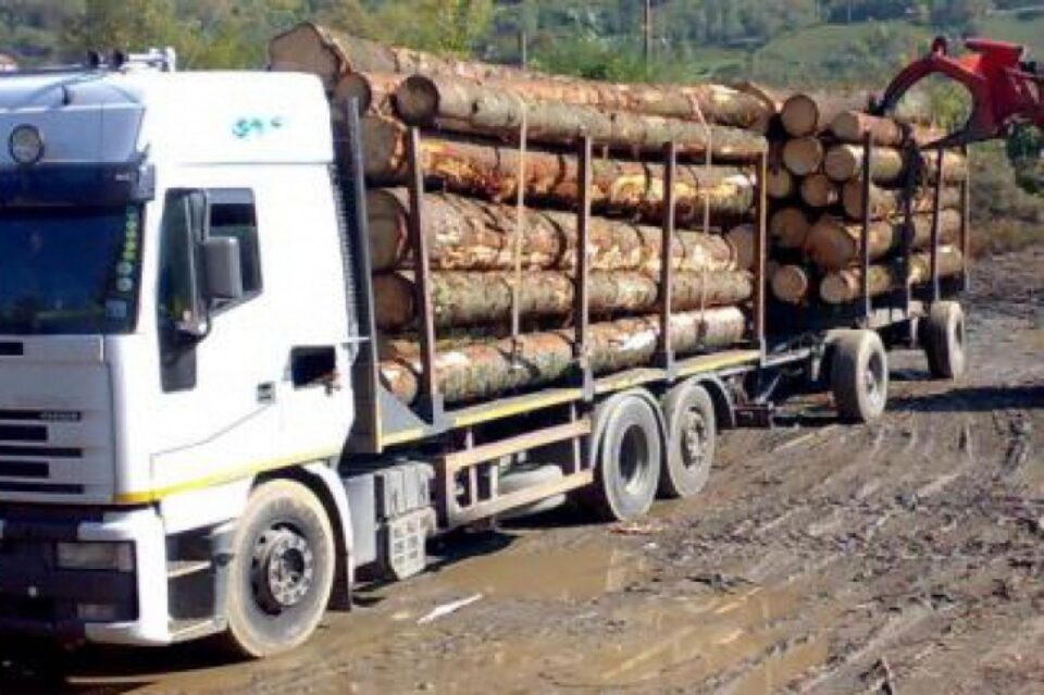 tir cu lemne