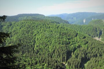 Măsuri suplimentare pentru prevenirea și stingerea incendiilor în păduri