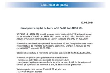 Grant pentru capital de lucru la SC PAINE LA LARISA SRL