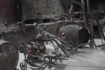 „Organizarea economică a districtului Suceava”