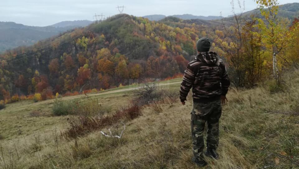 Tabăra de supraviețuire va fi organizată într-o pădure din Pătrăuți