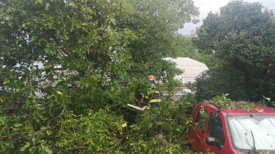 Mașina peste care a căzut un copac, la Rădăuți