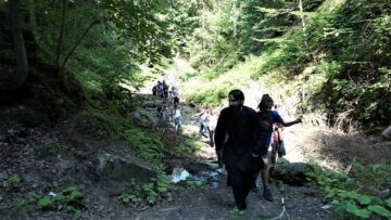 Lecții de viață având ca model continuitatea pădurii și trăirea în armonie cu natura