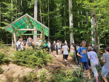 Lecții de viață având ca model continuitatea pădurii și trăirea în armonie cu natura