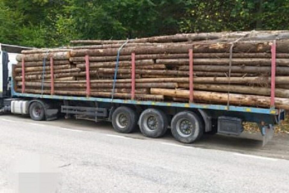 Un șofer a demontat componente ale unui camion cu lemne, inclusiv roțile, pentru a se sustrage de la un control . Foto ora de sibiu