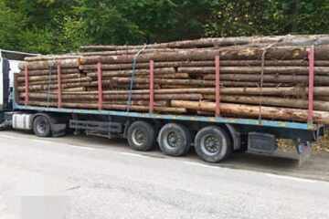 Un șofer a demontat componente ale unui camion cu lemne, inclusiv roțile, pentru a se sustrage de la un control Foto ora de sibiu