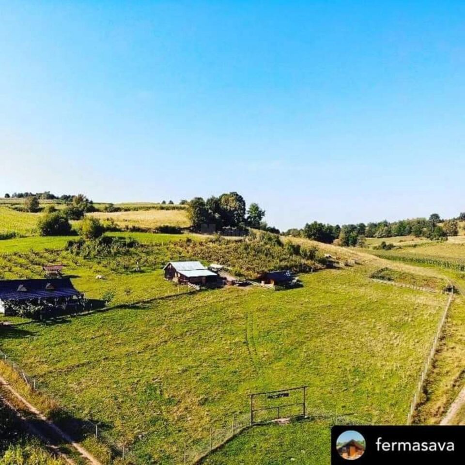 Ferma SAVA se pregătește pentru Festivalul Trufelor în Bucovina