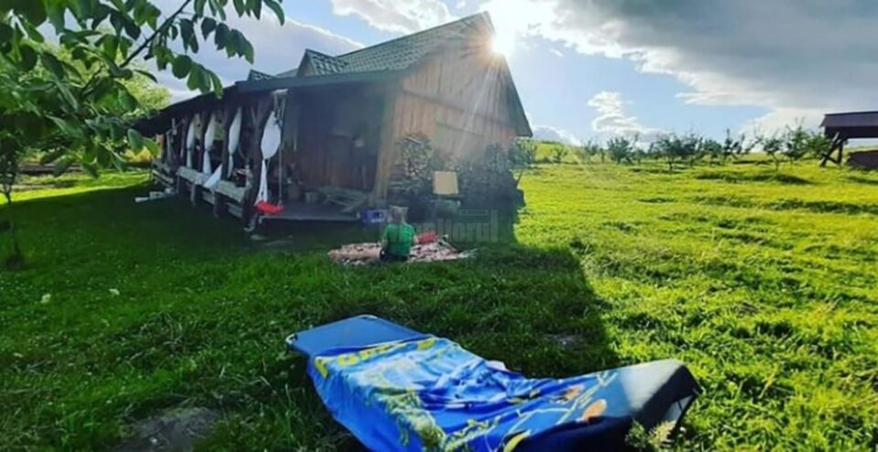 Ferma SAVA se pregătește pentru Festivalul Trufelor in Bucovina