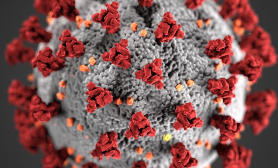 Județul Suceava, locul trei pe țară la numărul de cazuri noi de coronavirus