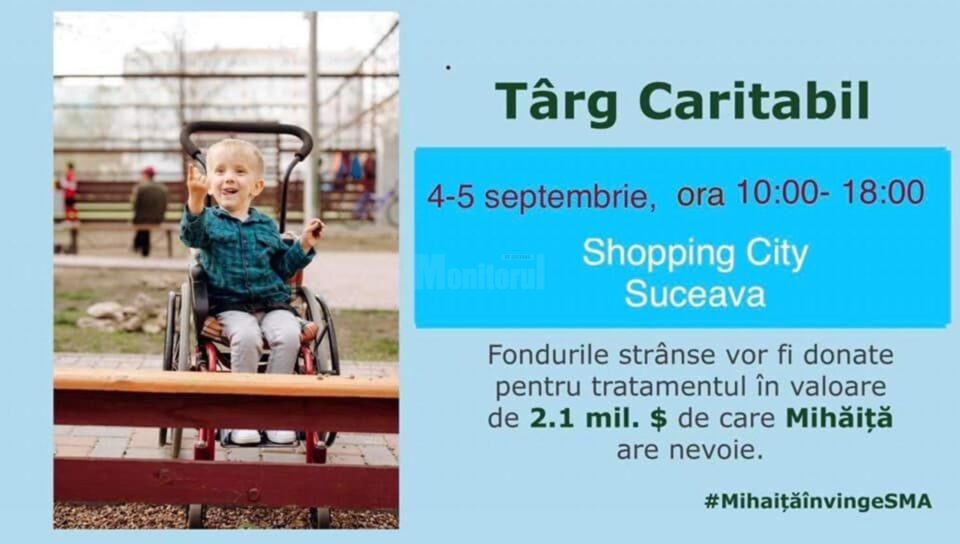 Târg caritabil pentru Mihăiță, în parcarea Shopping City Suceava