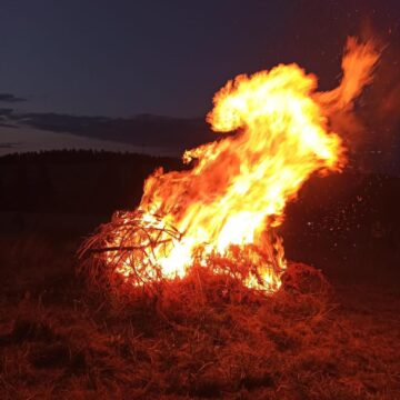 ''Copii la altar'' la Parohia ”Pogorârea SF. Duh”, din localitatea Vicovu de Jos