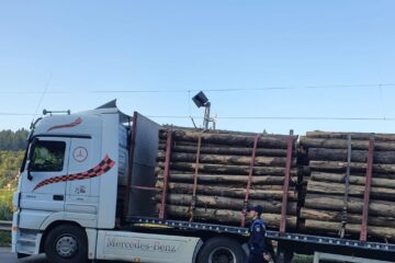 Camion cu lemne confiscat