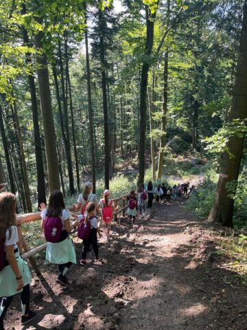 Omnia Ballet National Summer Camp, ediția I, la Gura Humorului