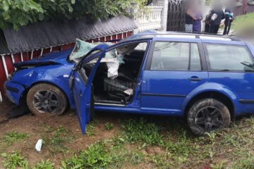 Autoturism ajuns în gard, după ce a acroșat două vaci