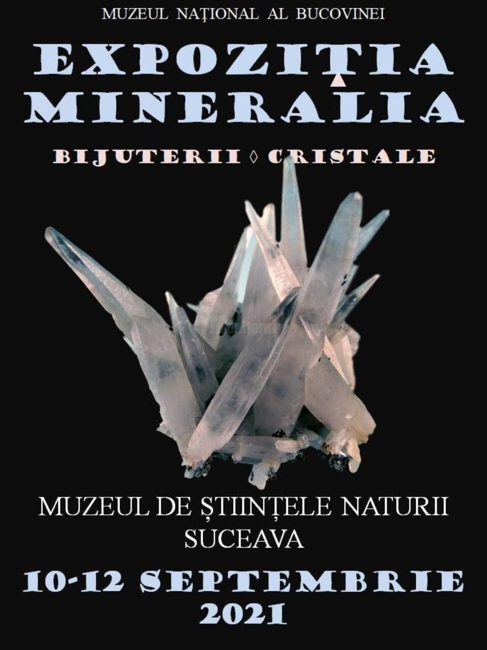 Pietre brute, pietre montate ca bijuterii, pietre cristalizate, pietre șlefuite, la expoziția „Mineralia”