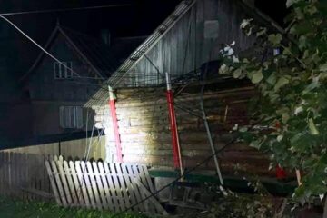 Remorca cu lemne a ajuns în curtea unui om
