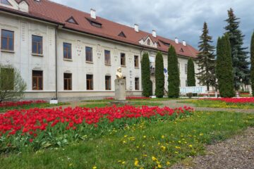 Cei doi profesori de la Colegiul Național ”Eudoxiu Hurmuzachi” testați pozitiv la Covid, interziși la ore
