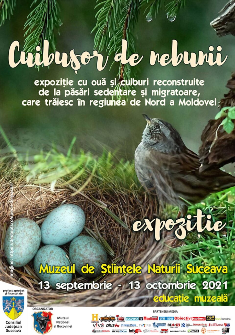 70 de cuiburi și tot atâtea tipuri de ouă de la păsări sedentare și migratoare, în expoziția temporară „Cuibușor de nebunii”