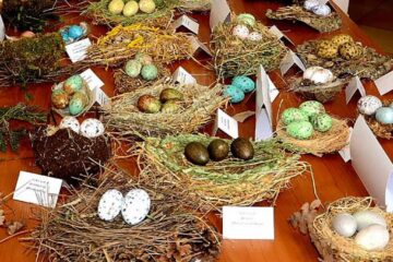Expoziția temporară „Cuibușor de nebunii”